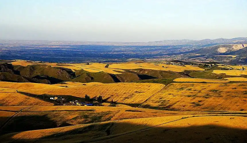 江布拉克,难忘的记忆——成熟的黄色,金色年华(2)