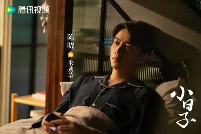 陈晓又上新剧了##电视剧小日子今日开播##衣柜里的陈晓