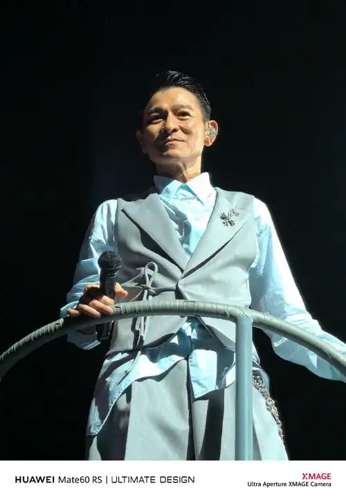 刘德华舞台魅力非凡