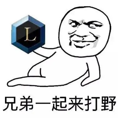 兄弟们一起来打野