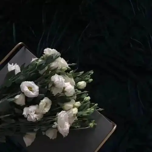 "被惦记,被理解,被爱"——黑色系背景图