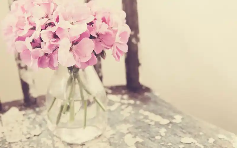 唯美花瓶静物精美创意高清电脑桌面壁纸图片下载