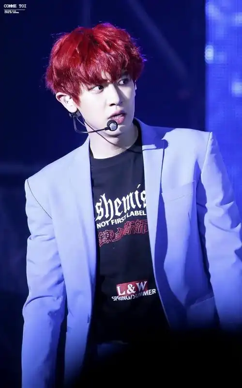 朴灿烈边伯贤段宜恩权志龙