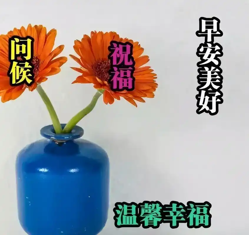 早安心语 大家早上好问候 早安心语唯美配图