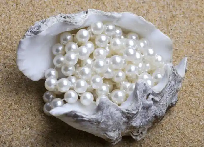 有核珍珠与无核珍珠的形成区别你知道吗