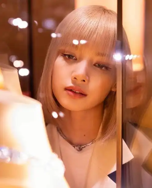 lisa在宝格里购买经验