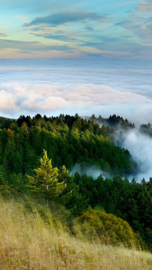 860_1529竖版 竖屏