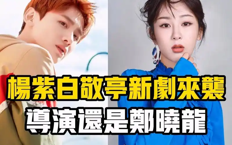 【星咖娱乐】杨紫白敬亭合作新剧?还是郑晓龙的导演!