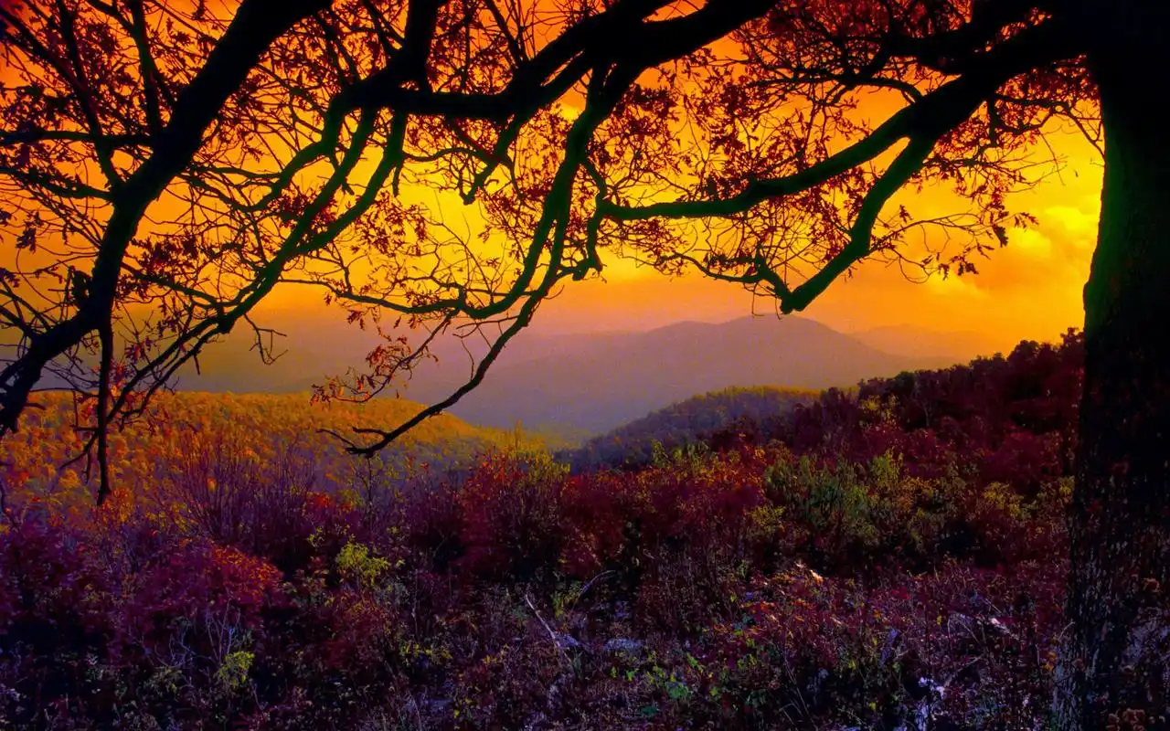 黄昏下的背景唯美图