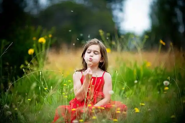 澳大利亚职业儿童摄影师amanda keeys,风格清新自然,让人想起了那