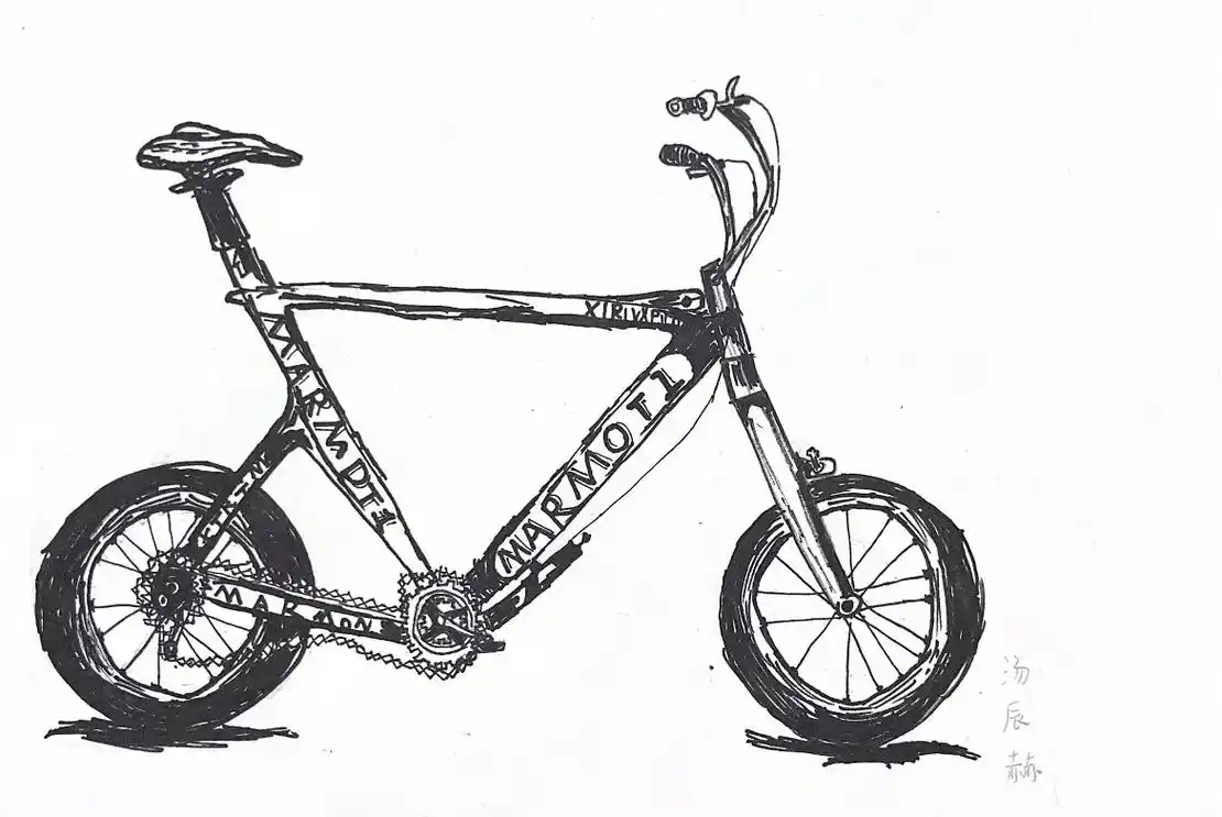 画车 #自行车 自行车速写 考级冲冲冲 - 抖音