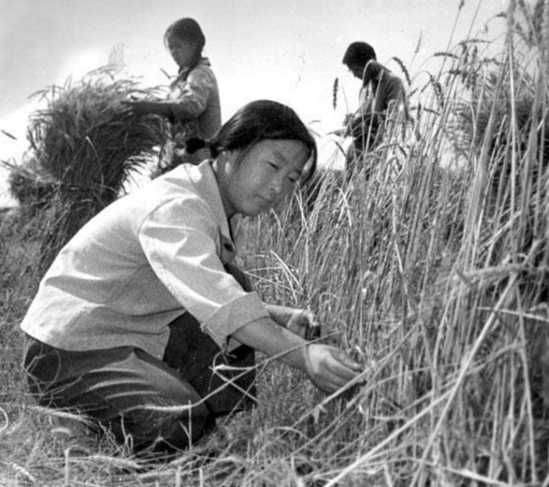 70年代老照片:朴质的农村生活,让人羡慕的年代,图5摇摆舞真帅