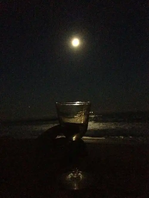 只能跑到海边一个人喝喝酒了,举杯邀明月啊