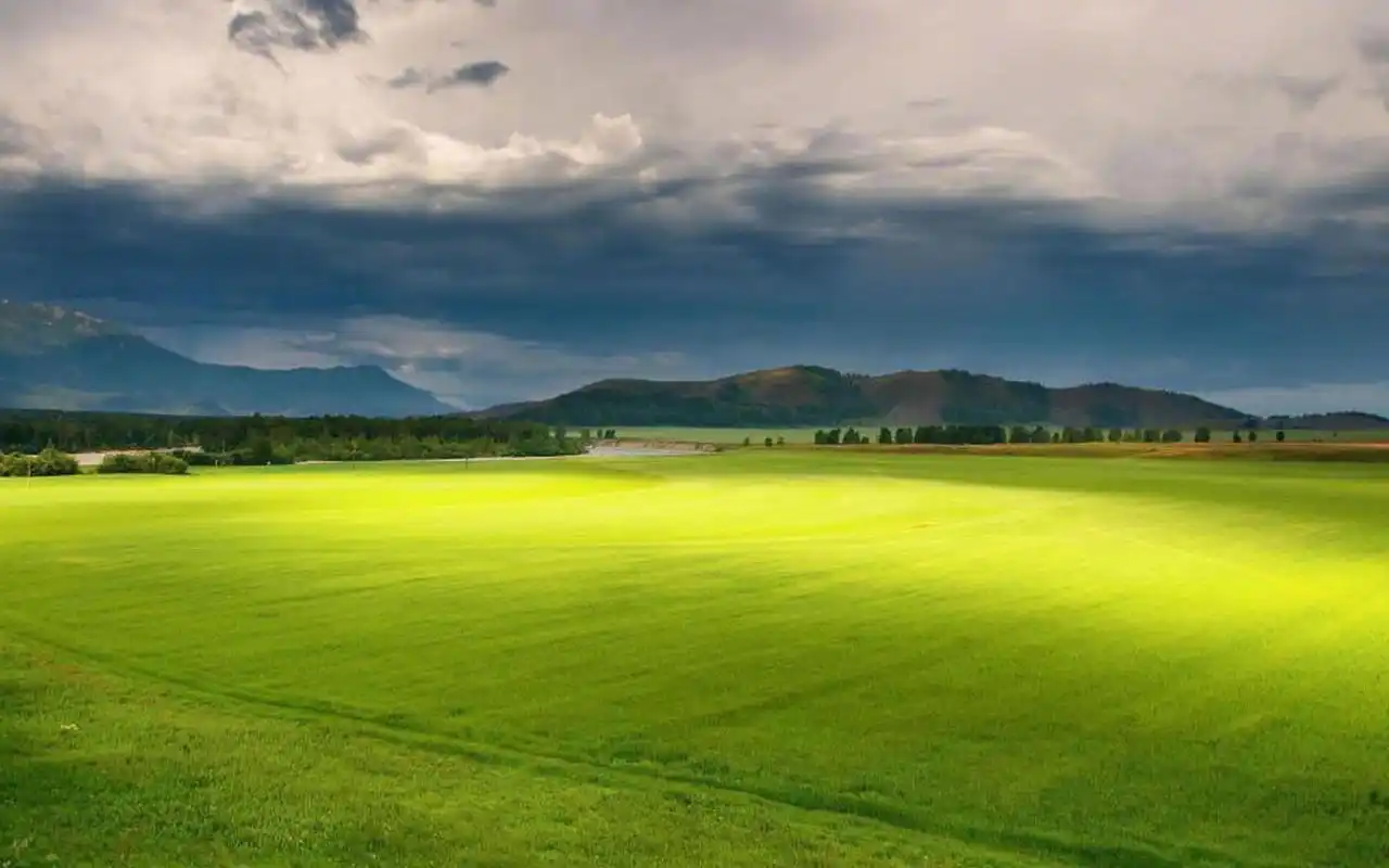 唯美护眼绿色风景图片电脑壁纸