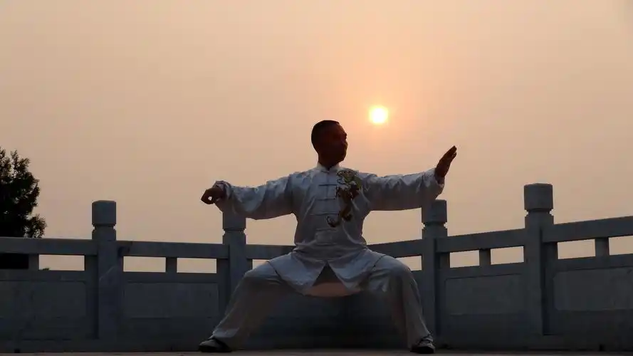 陈氏太极拳功夫架定式