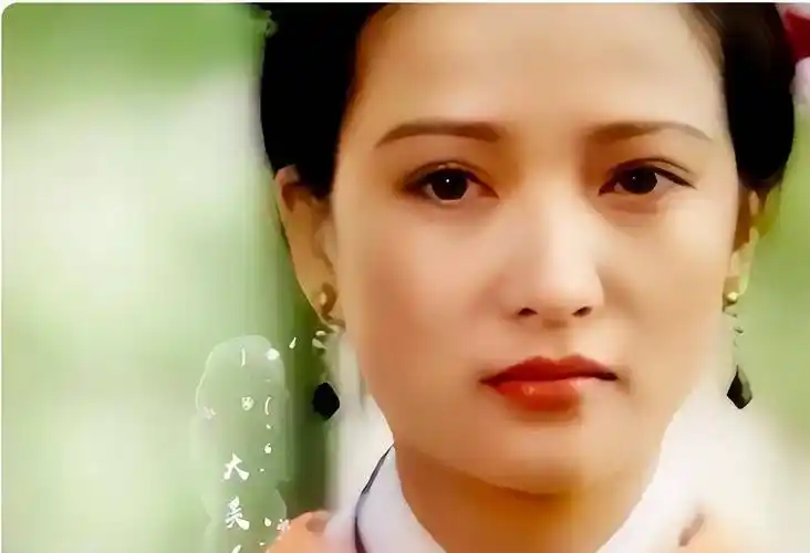 何晴最美的3个角色:最后一套古装扮相惊为天人,却极少有人知晓_陈红