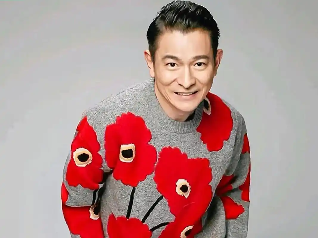 刘德华经典发型盘点 #歌曲时光慢慢 为小团子点点爱心 - 抖音