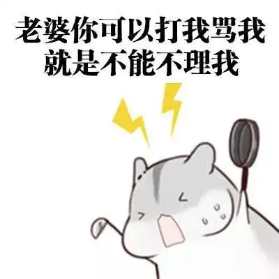 老婆丢了表情包