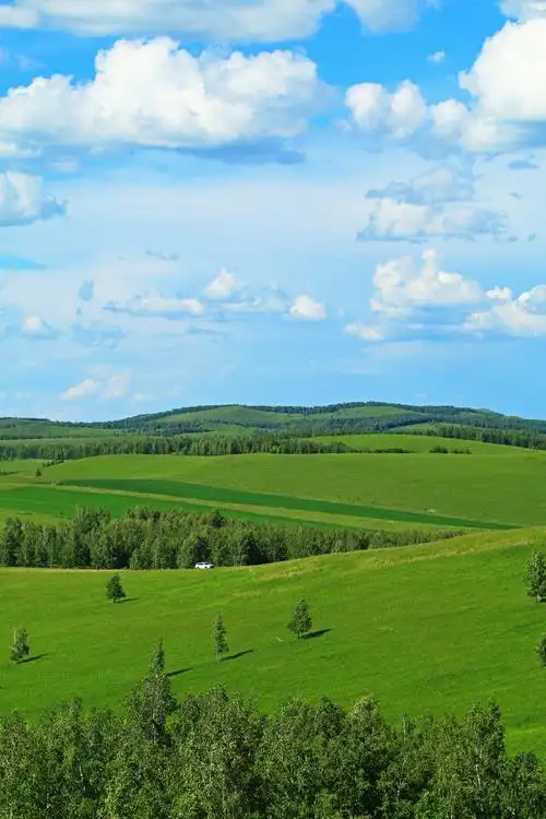 呼伦贝尔草原每一帧都是壁纸