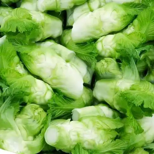 四川儿菜新鲜5斤娃娃菜农家自种蔬菜母子菜10抱耳菜包邮多心菜