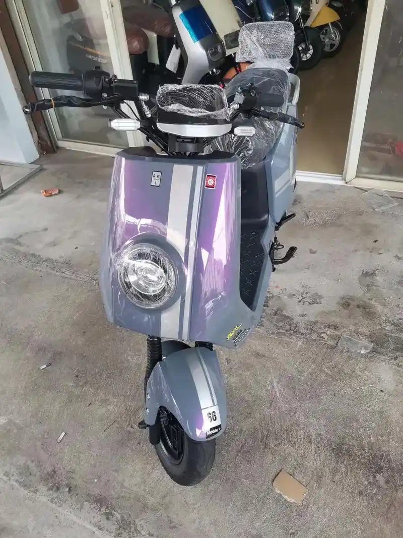 (黑猪)欢迎新老客户大家看看需要电动车的联系我    有小鸟 - 抖音