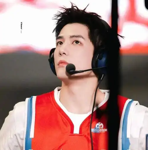 微信头像王安宇