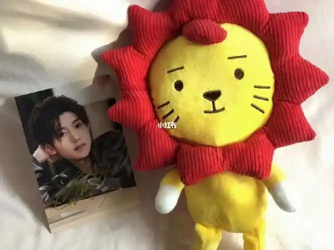 谁还没有王源签名莱阳小狮子的