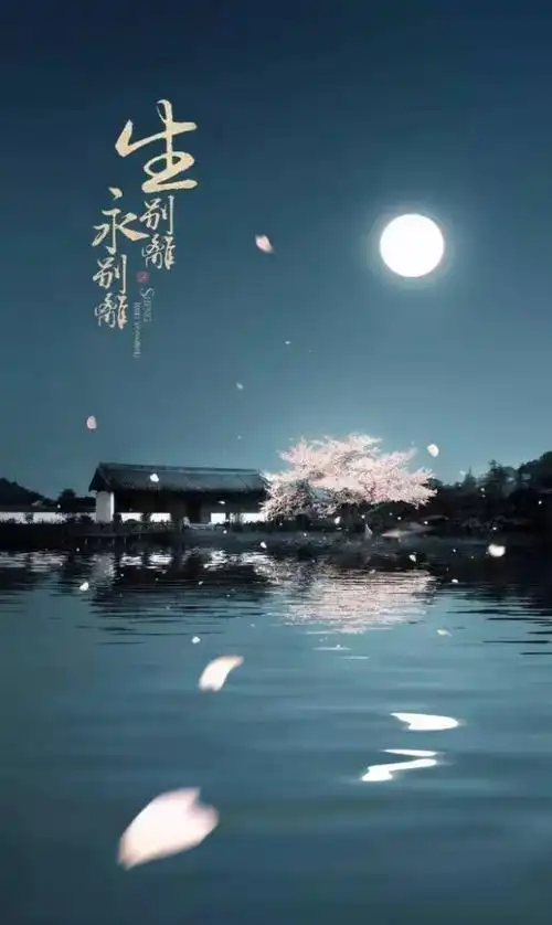 句句动人心,这小说里的语句,哪一句入你心扉