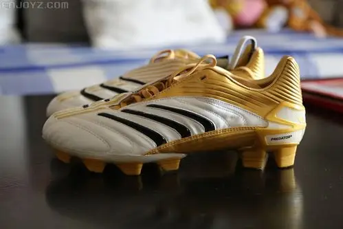 装备交流区 69 足球鞋综合讨论 69 来自06年的回忆——当猎鹰还能