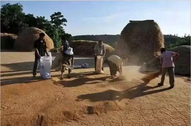 太珍贵了,一组80年代的农村老照片,看完后满满都是回忆