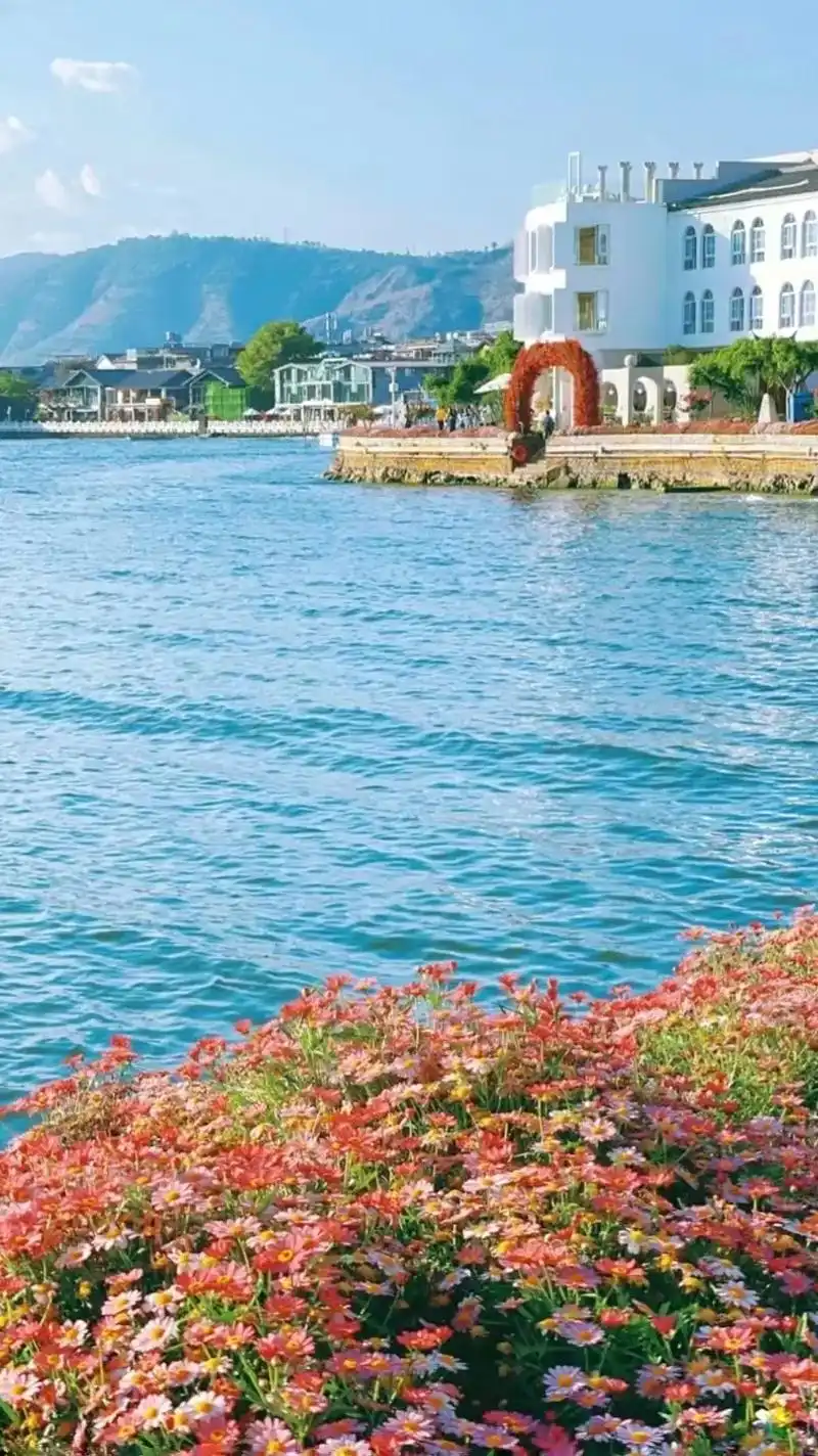 鲜花与大海一起盛开,一路都是繁花和碎 - 抖音