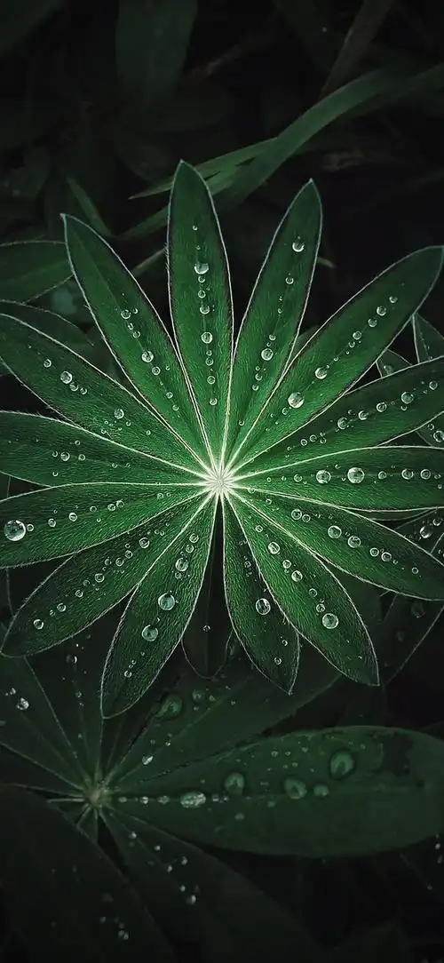 护眼壁纸|放慢脚步,感受生活的慢节奏|好运|都是你_网易订阅