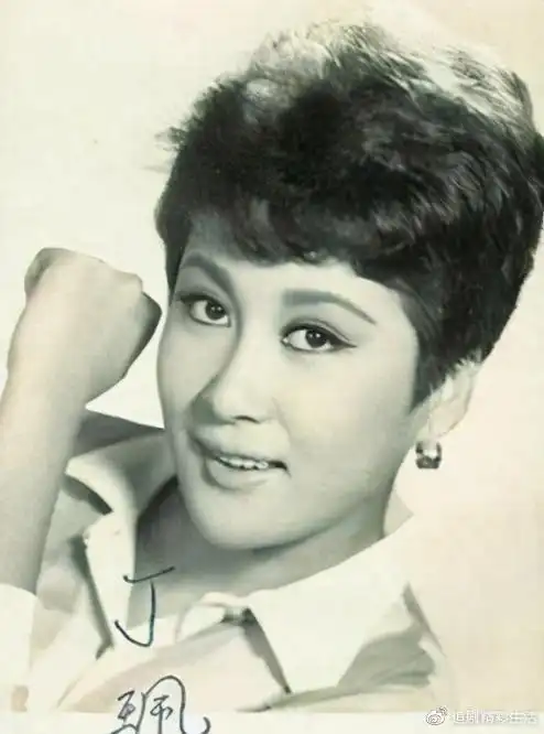 迷人的丁佩是李小龙的情人,李小龙死在她床上,向华强娶她为妻