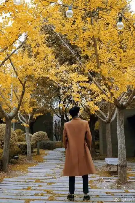 林彦俊晒背影随拍