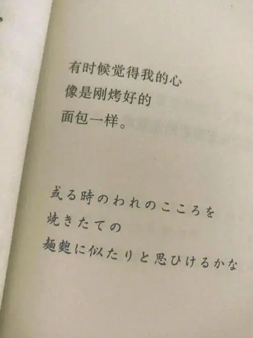 背景图文艺ins风微信朋友圈背景图