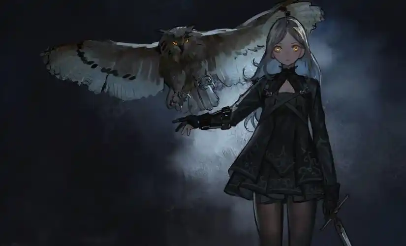 你用过哪些让你惊艳的二次元电脑高清壁纸