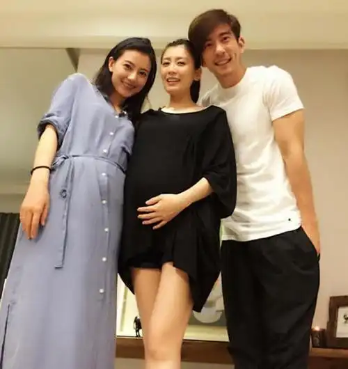 高圆圆怀孕?网友们为女星造人操碎了心