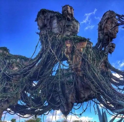 阿凡达园坐吉普车在原始森林看野生动物.