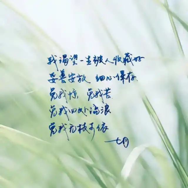 被风吹过的夏天迟迟不愿留在那缕缕相思思绪随风而逝被傍晚的火烧云