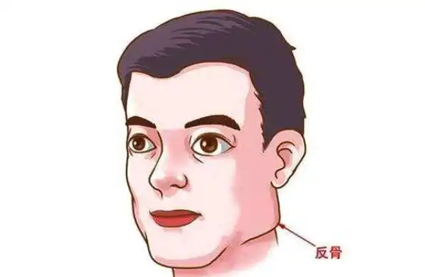 有人认为耳朵有反骨耳面相的人命运漂泊不定,也许是因为她们比较独立