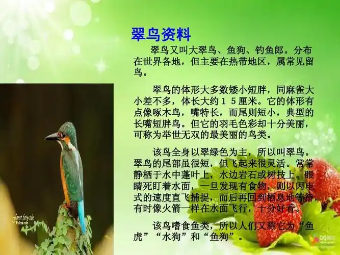 优质课《翠鸟》课件ppt