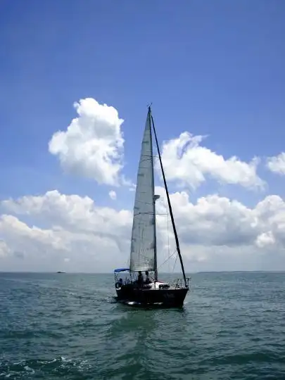第一届海峡杯大型帆船交流赛厦门台湾