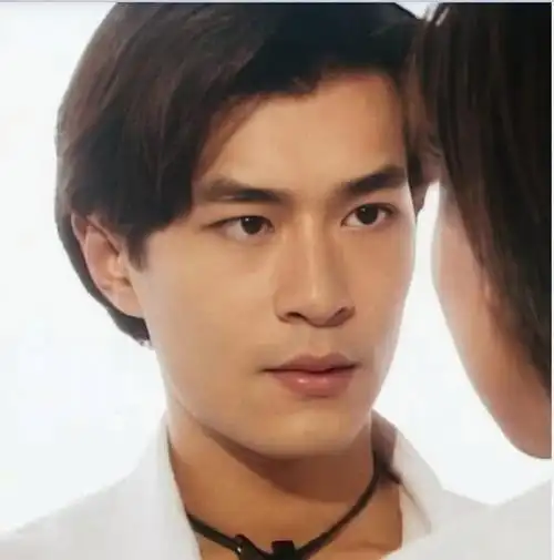 接上图,这一批的年龄比上一代的年轻些,不过也是香港男星最后的辉煌了