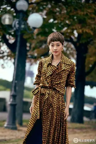 马伊琍明星资料大全-马伊琍动态_马伊琍电视剧电影-爱奇艺泡泡