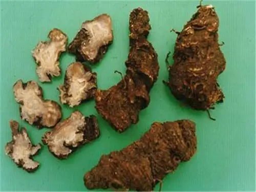 中医 中药大全 清热药 蚤休 中药蚤休为百合科植物七叶一枝花,金线