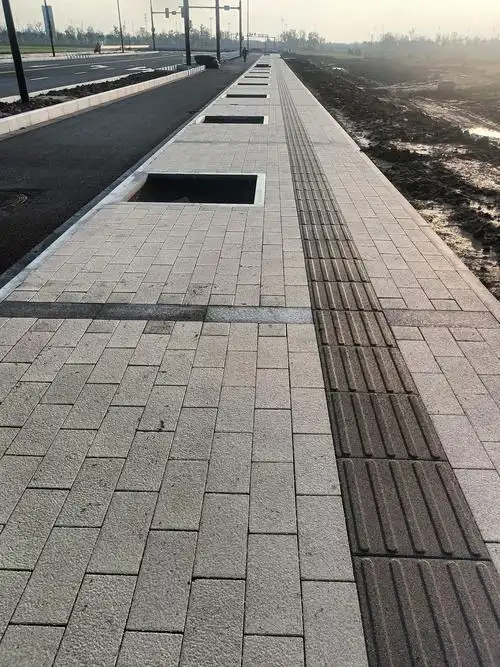 生物滞留池透水铺装过水暗涵三大技术措施组合盐南高新区新建梦棠路