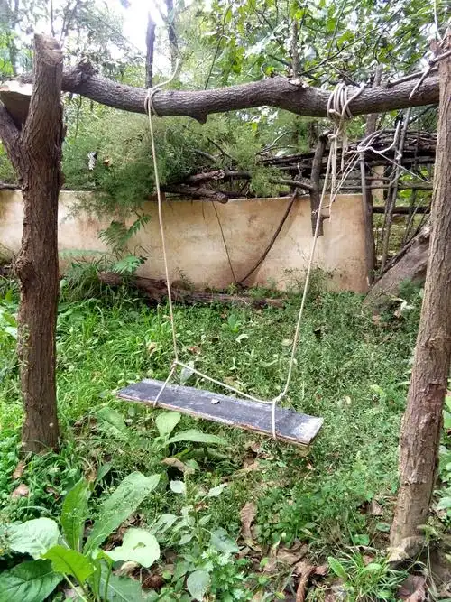 老屋院内自制秋千架,让人恍若回到从前.