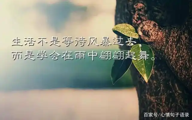 一发就秒赞的经典语录,高情商有内涵的经典语句