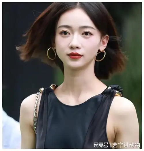 "何时休|那英|演员|蔡徐坤|吴谨言|她的演技|中国中央电视台_网易订阅