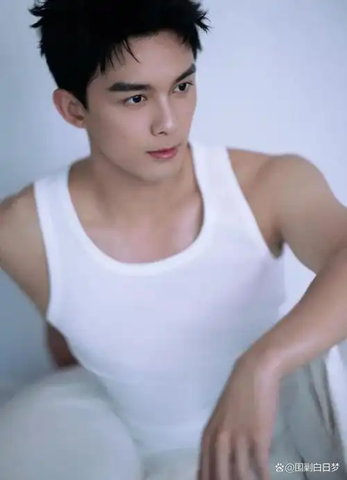 看开吧内娱就是一个巨大的动物世界